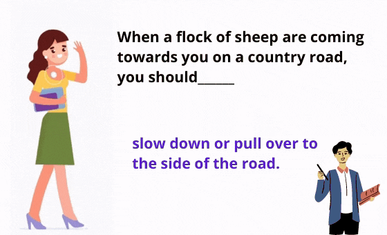 20 Αντίγραφο καρτών flash sri (38)