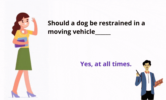 22 Αντίγραφο καρτών flash sri (40)